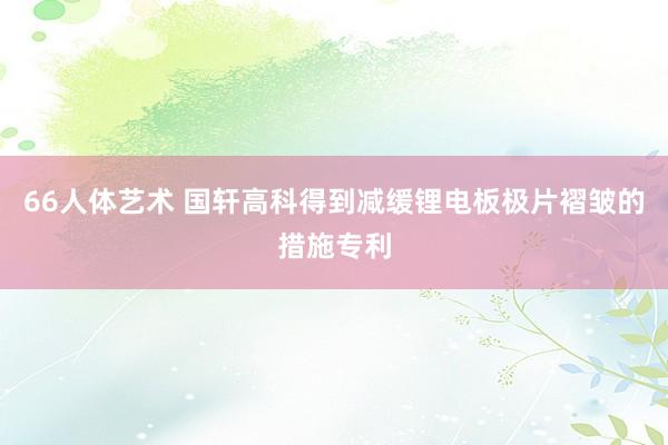 66人体艺术 国轩高科得到减缓锂电板极片褶皱的措施专利