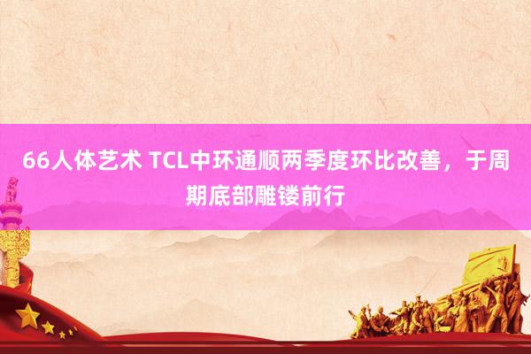 66人体艺术 TCL中环通顺两季度环比改善，于周期底部雕镂前行