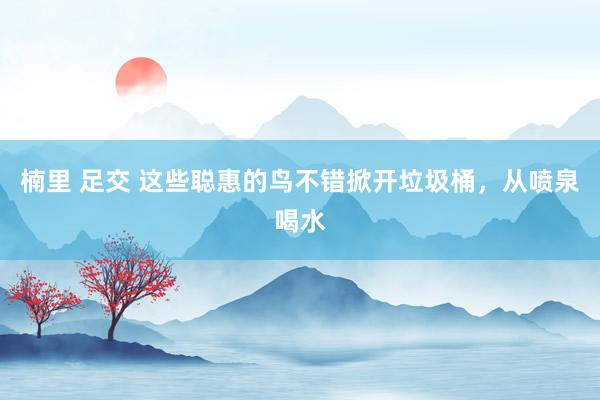楠里 足交 这些聪惠的鸟不错掀开垃圾桶，从喷泉喝水